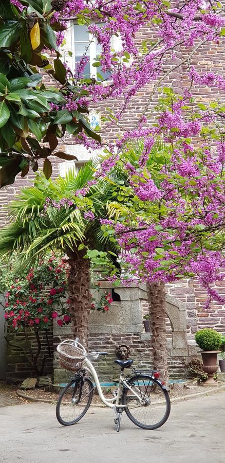 Castel Jolly Bed & Breakfast Rennes Exterior photo